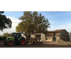 Vente maison 280 m² Arles (13)