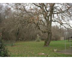 Vente maison 250 m² Vignoux-Sur-Barangeon (18500)