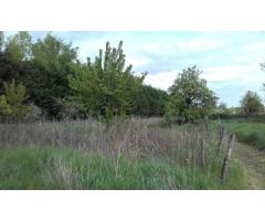 Vente terrain 4.600 m² Vierzon (18100)