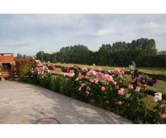 Vente maison 200 m² Oigny (41170)