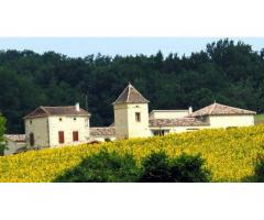 Vente maison 335 m² Gontaud-De-Nogaret (47400)