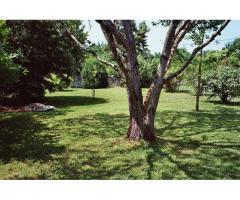 Vente maison 320 m² Condom (32100)