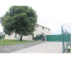 Vente local d'activité 540 m² Assat (64510)
