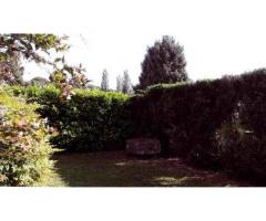 Vente maison 200 m² Pouillon (40350)