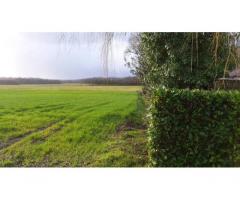 Vente terrain 12.000 m² Saint-Sever (40500)