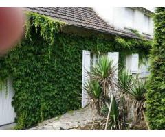 Vente maison 135 m² Figeac
