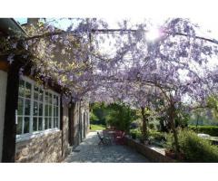 Vente maison 220 m² Saint-Marcel-Campes (81170)