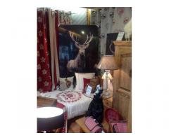 Vente fonds de commerce Mobilier, Décoration, Cadeaux, Fleurs, Loisirs 423 m² Bagneres-De-Luchon